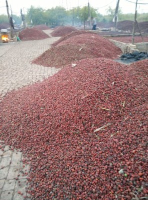 飼料添加劑生產企業(yè),飼料添加劑生產企業(yè)工廠制造商,飼料添加劑生產企業(yè)產品,飼料添加劑生產企業(yè)交易平臺,飼料巴巴-中國飼料行業(yè)信息網商務平臺